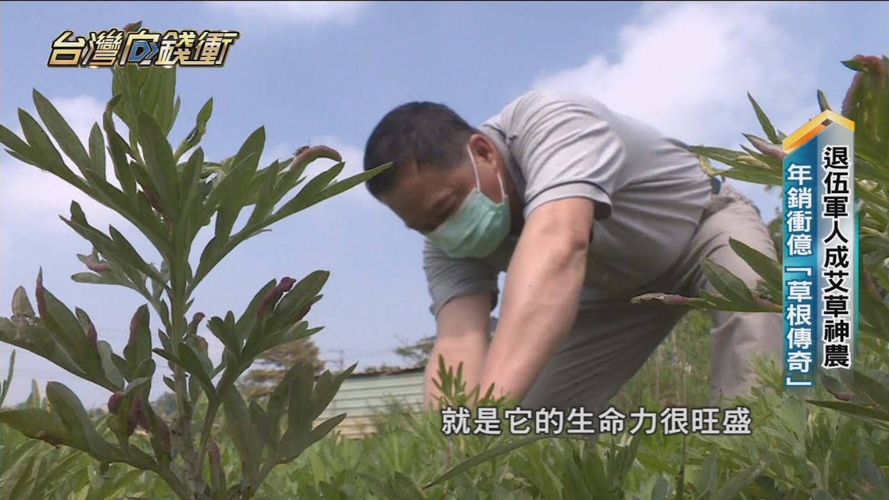 退伍軍人成艾草神農年銷衝億 草根傳奇 2618 台灣向錢衝 Part2 Youtube