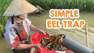 Catch fish eels super fast with plastic pipes: Try this method now