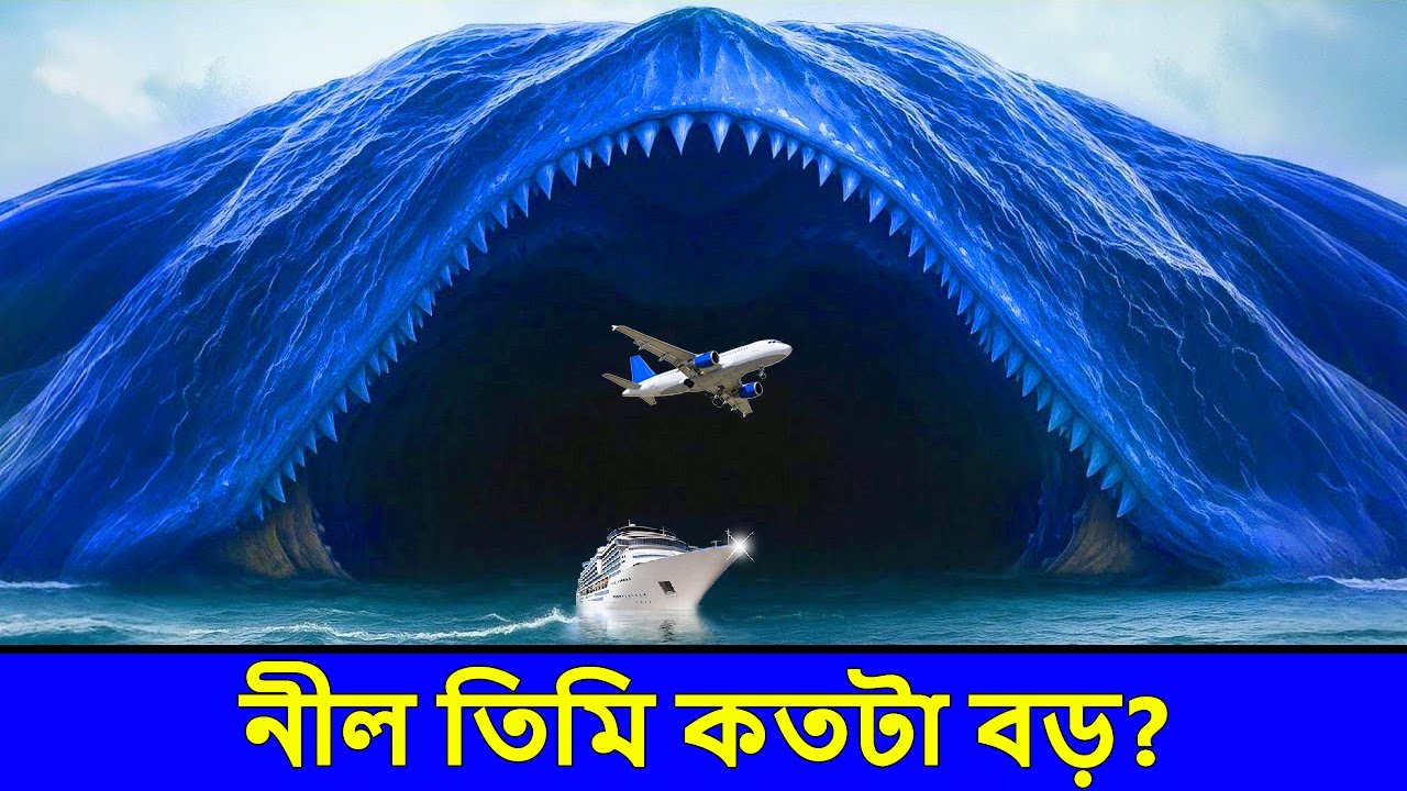 why-are-blue-whales-bigger-than-dinosaurs-a-mind-bending-scientific