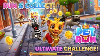 Adopt your own cat or dog in this cute pet runnerPet Run is the best free running game  screenshot 4