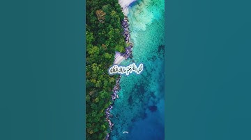 قرآن كريم بصوت الشيخ وديع اليمني :حالات واتس دينية (شهر القرآن)