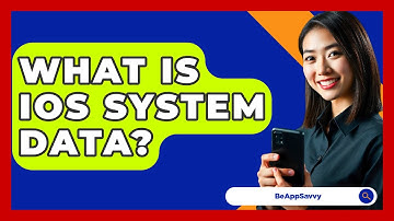 What Is iOS System Data? - Be App Savvy