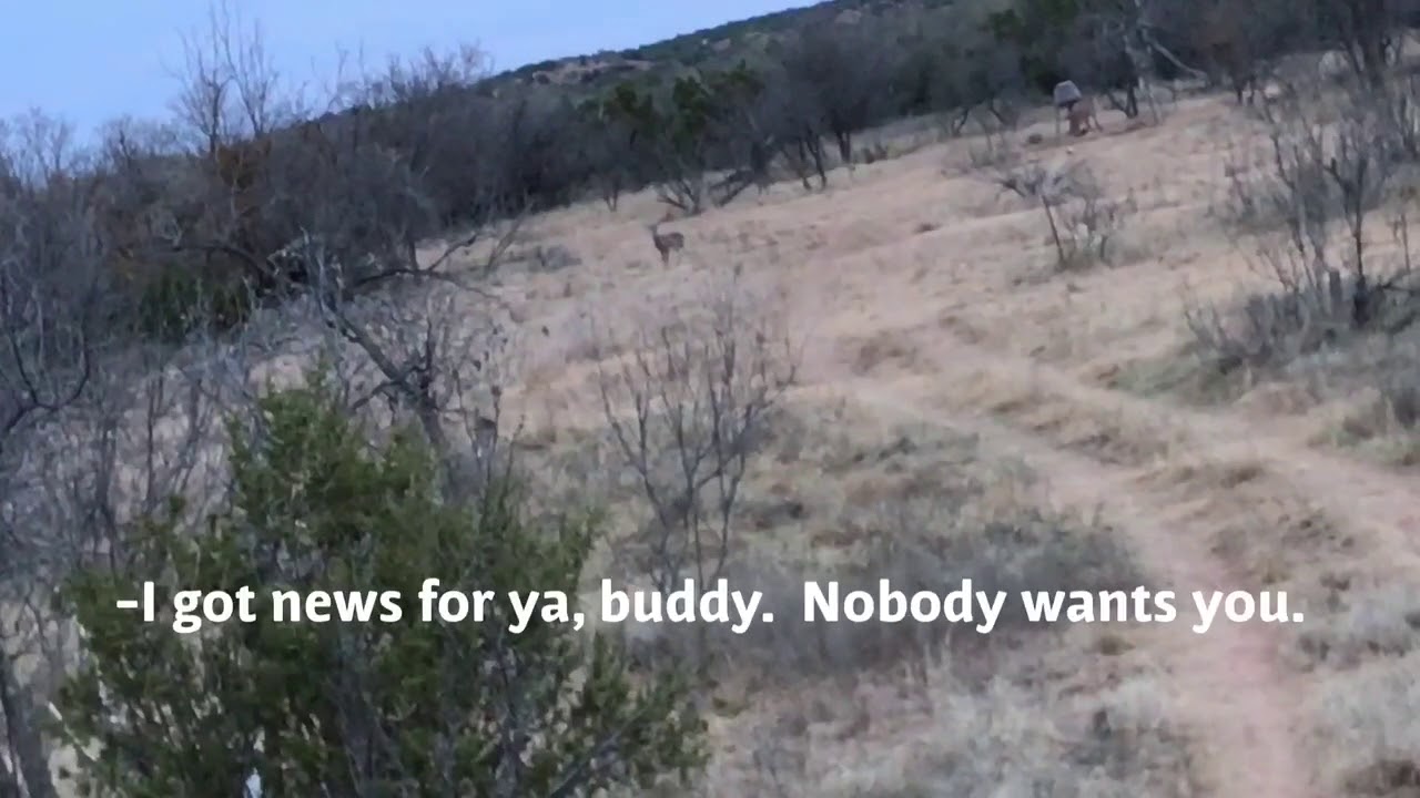 Highway Sisters Hunting Dialogue | Blue Goose Ranch, Texas - YouTube
