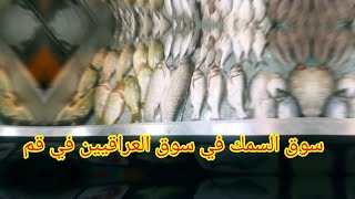 سوق السمك في سوق العراقيين في قم #nature