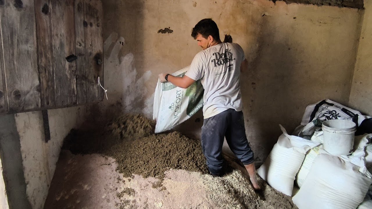 VEJA COMO E FEITO A RAÇÃO DAS VACAS LEITEIRA DE BEBETO O CUIDADO AQUI E DIÁRIO 