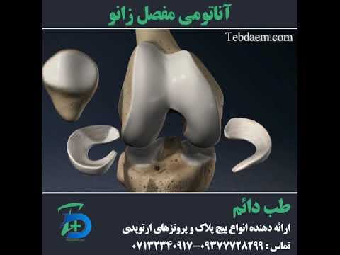آناتومی مفصل زانو   