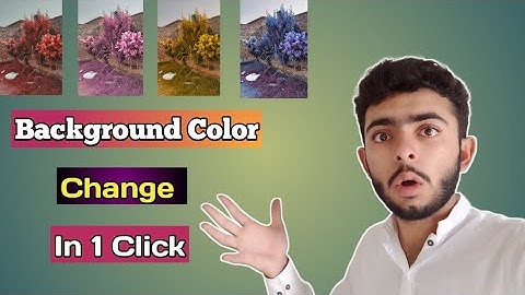 Only 1 Click Video Background Colour Change || TikTok Tutorial || Video Colour Changing