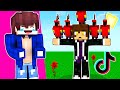 HO RICREATO I TIK TOK DI MINECRAFT SU MINECRAFT *male*