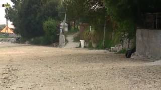 Playa Canina En Cesantes Redondela12082016