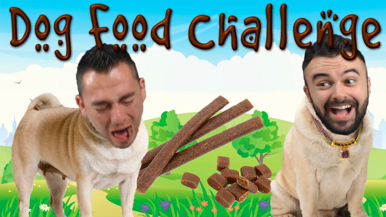 DOG FOOD CHALLENGE w/FLOWSTREET XxStratusxX YouTube