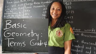 PEP Maths: Basic Geometry Terms. What is Geometry Grade 4 Mathematics. Primary Exit Profile