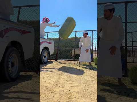 وجودي على النوم وسط النفودي سلوم الشراري