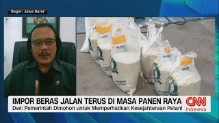 Impor Beras Jalan Terus di Masa Panen Raya