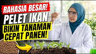 Ilmu Baru! Protein Pelet Ikan Bisa Diubah Menjadi Nutrisi untuk Tanaman? Ini Caranya!