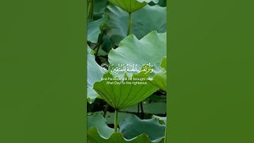 Ahmed Al-Nafis - Surat Al-Shu'ara. -  أحمد النفيس - سورة الشعراء