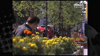 Post-80s in China (Pt 1)