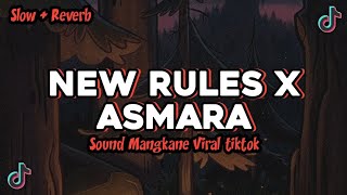 DJ NEW RULES X ASMARA VIRAL TIKTOK (Slowed + Reverb)