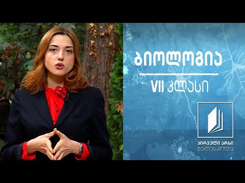 ბიოლოგია VII კლასი - ფოტოსინთეზი. ფოტოსინთეზის პროცესის კვლევა #ტელესკოლა