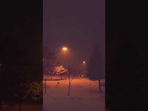 Ezginin Günlüğü - Leyla ( Kar yağıyor bu gece )