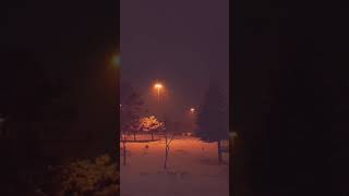 Ezginin Günlüğü - Leyla ( Kar yağıyor bu gece )
