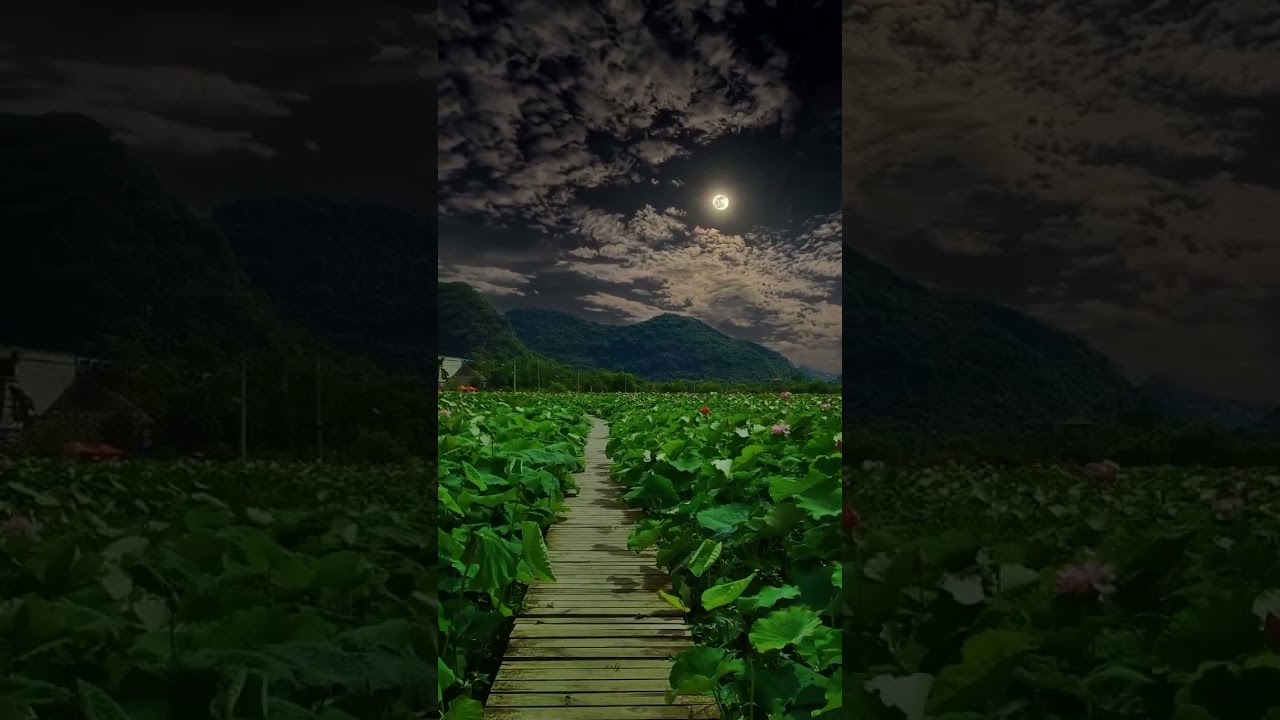 Exploring the World: A Guide to Global Adventures and Vacation Diaries