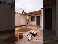 Backyard &amp; Interior Makeover | Stunning Before &amp; After Transformation 😍🏠