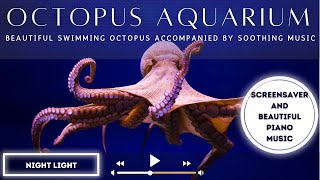 Graceful Octopus Aquarium Screensaver with lovely piano music screenshot 2