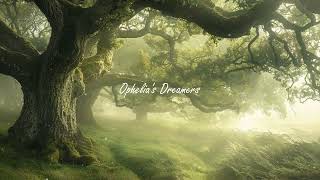 You're lost in an enchanted forest | Piano Playlist