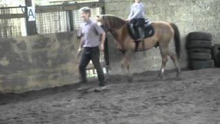 2011 0513Alissoncheval0085