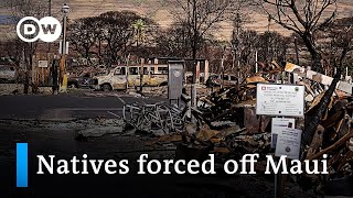 High housing prices force wildfire victims off Maui | DW News