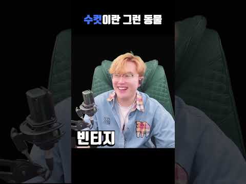 결혼생활하는 남편 모음