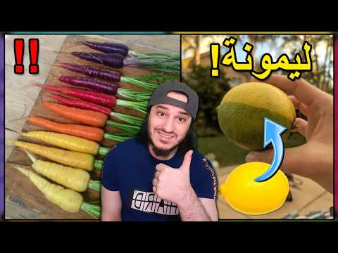 أشياء نادرة ستكون محظوظ إذا رأيت واحدة منها