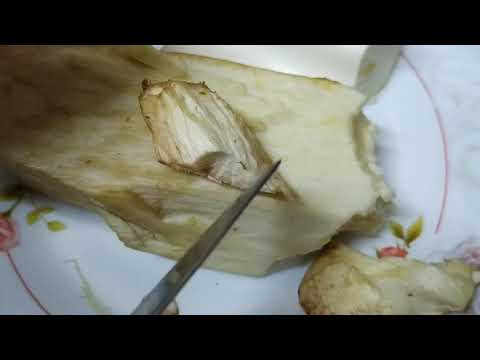 فوائد الجمار لم يعرفها احد مع ام يوسف