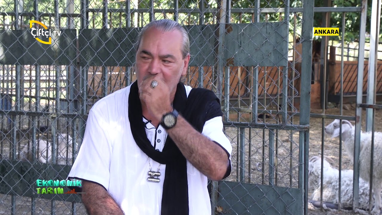 Besleme Ve Yemlemede Yapılması Gerekenler - Ekonomik Tarım / Çiftçi TV