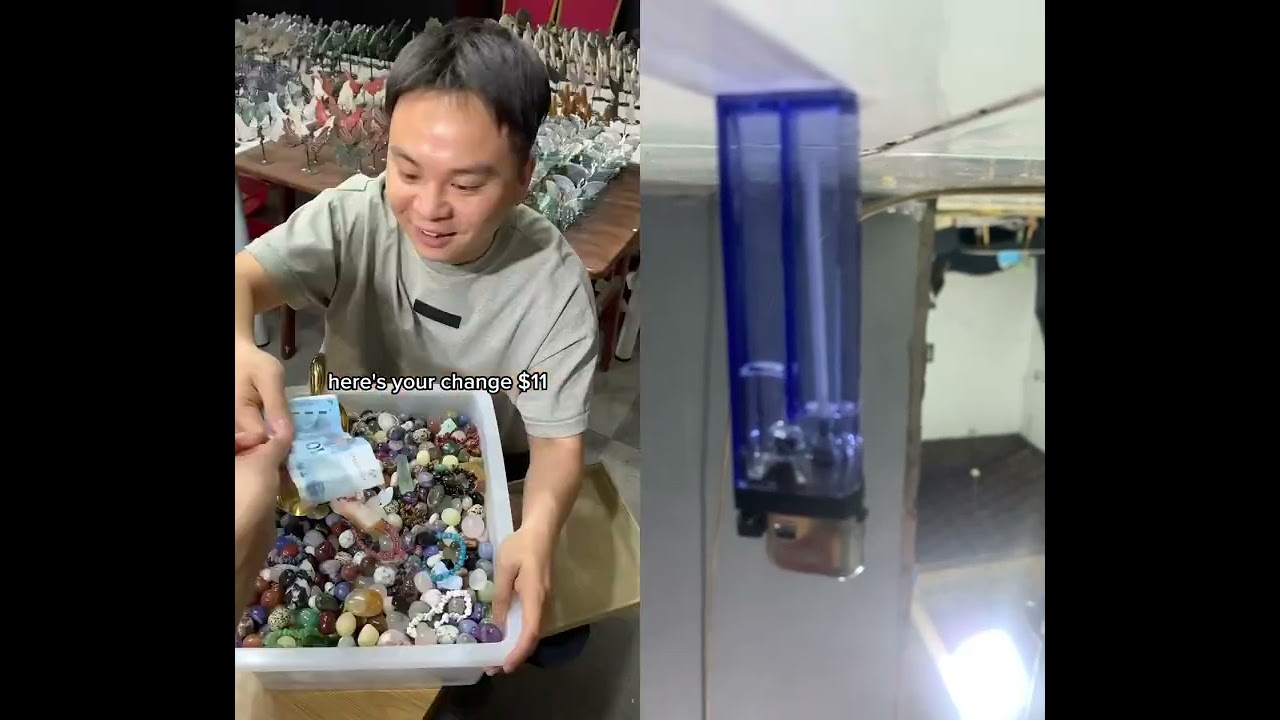 #crystals #crystalsdotcom #funny #naturalamethyst #toys #gemquality #pov #tiendadecristales adlı videoyu YouTube'da izle #crystals #crystalsdotcom #funny #naturalamethyst #toys #gemquality #pov #tiendadecristales adlı videoyu YouTube'da izle