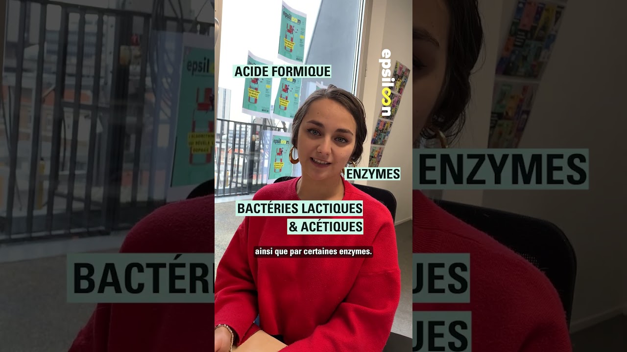 Dans le temps, on fabriquait des yaourts avec des fourmis