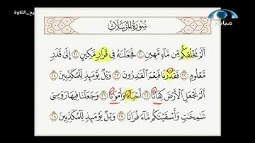 تنبيهات آية ( أَحْيَاءً وَأَمْوَاتًا) | د. معاذ صفوت | تصحيح التلاوة