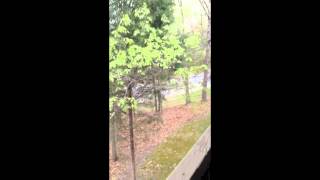 poop dollar workaholics prank