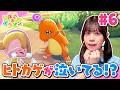 『ぽこ あ ポケモン』やってみた！困っているポケモンが...！？ヒトカゲのお家を作ってあげよう♪ポケモンセンターの建て直しに挑戦！#6【ゲーム実況】