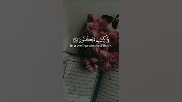 تلاوة تريح القلب 🎧❤️|| بدون حقوق || حالات واتس