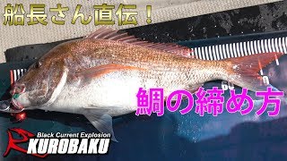 鯛の締め方〆 船長さん直伝！Red sea bream cutting