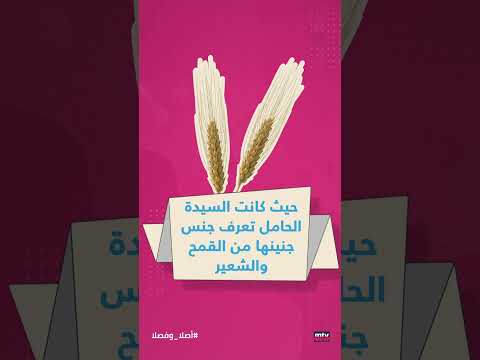ما أصل وفصل قمحة ولا شعيرة الجواب في هذا الفيديو أصلا وفصلا 