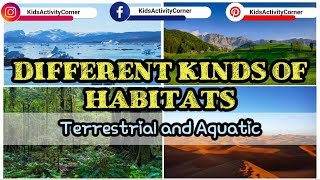 Kinds of Habitats/ Science Grade 3 / Rainforest / Grasslands /Desert / Tundra / Aquatic /Terrestrial