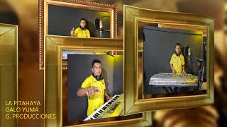 Download Lagu LA PITAHAYA     GALO YUMA MP3