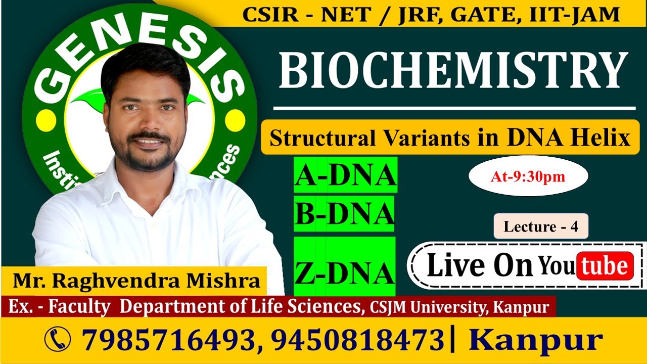 A-DNA | B-DNA | Z-DNA| Lecture-4 | New online 