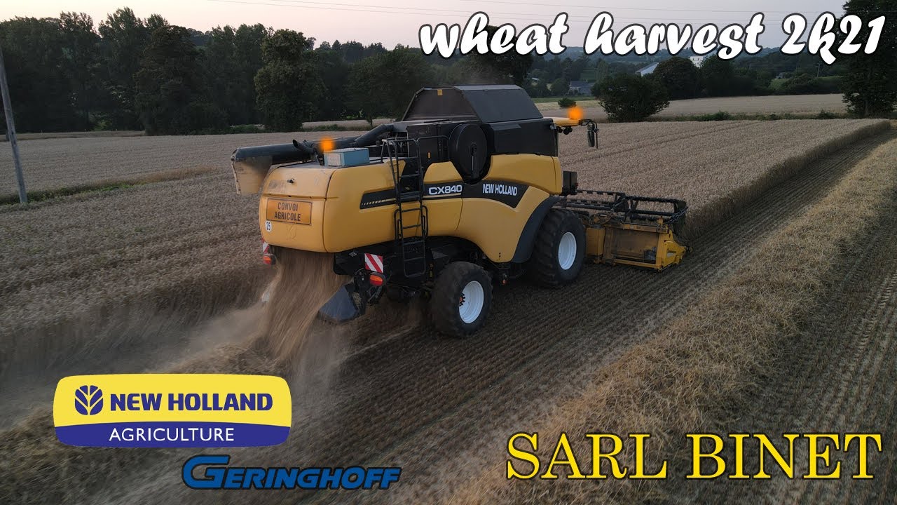 Moisson de blé 2021🌾 (wheat harvest 2021) // New holland cx 840 // SARL BINET🌾