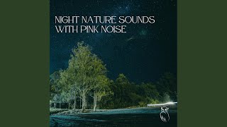 Loopable, Sleepy Nightlife - Pink Noise