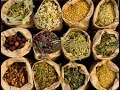 The secrets of herbal medicine  best documentary of all time