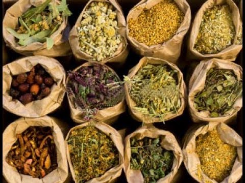 The Secrets Of Herbal Medicine : Best Documentary Of All Time