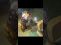 【ゼンゼロ】シードのPVが最高に素敵な理由【ゼンレスゾーンゼロ】